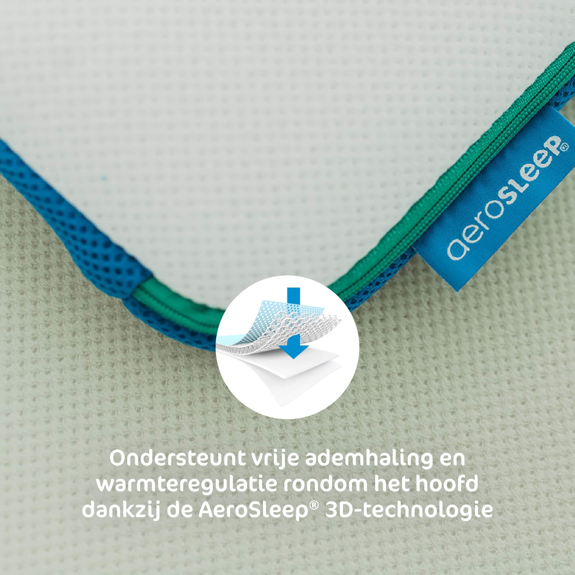 Hoofdkussen