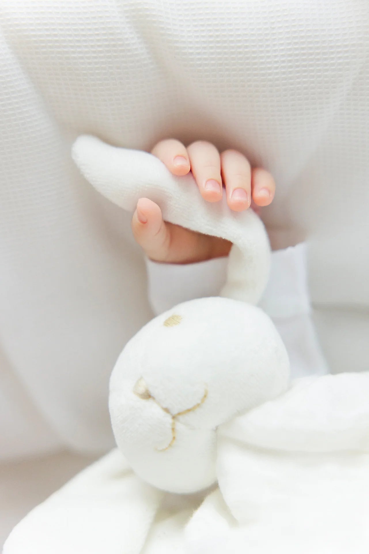 Augustin le Lapin Doudou coton bio