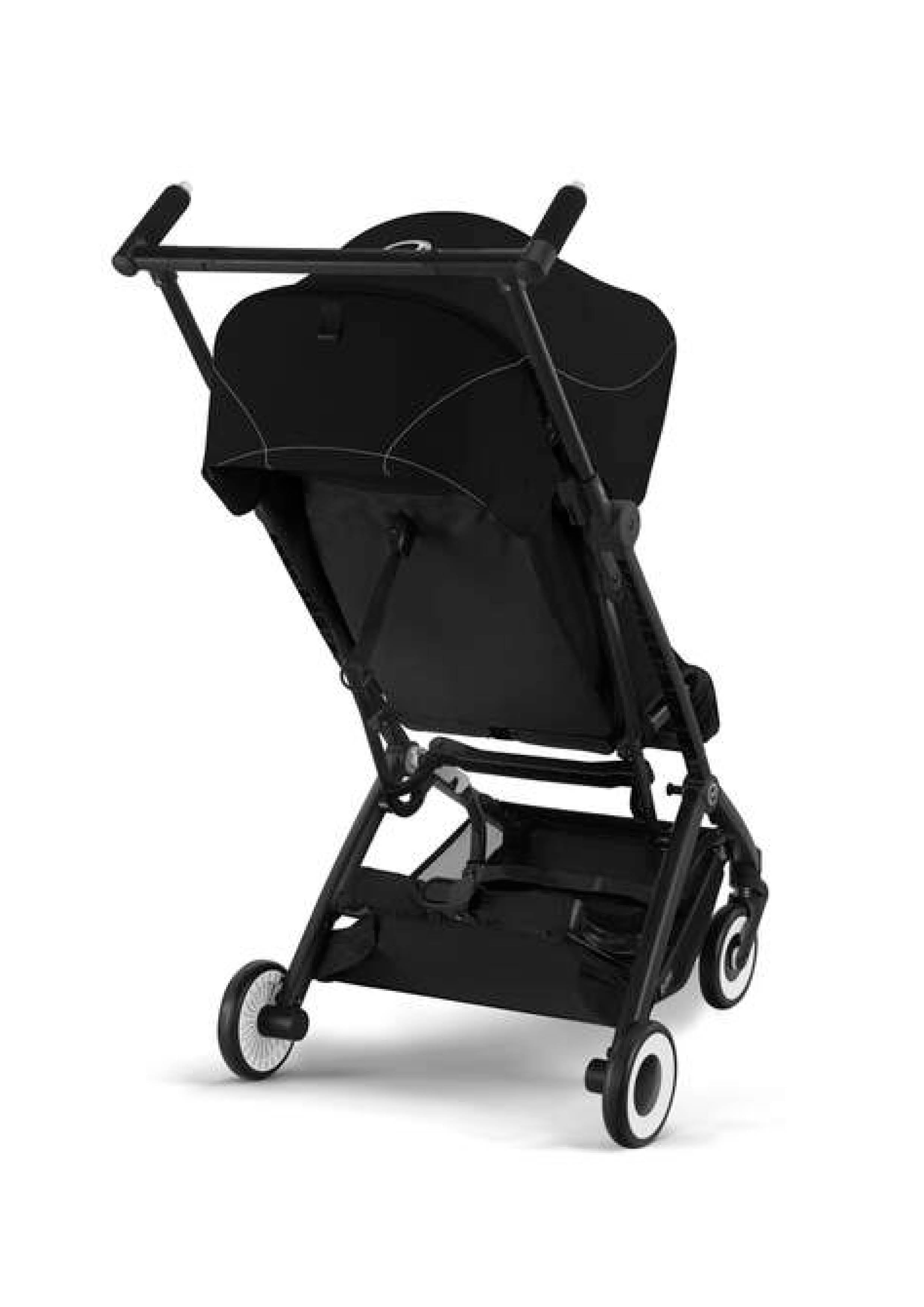 Libelle reisbuggy