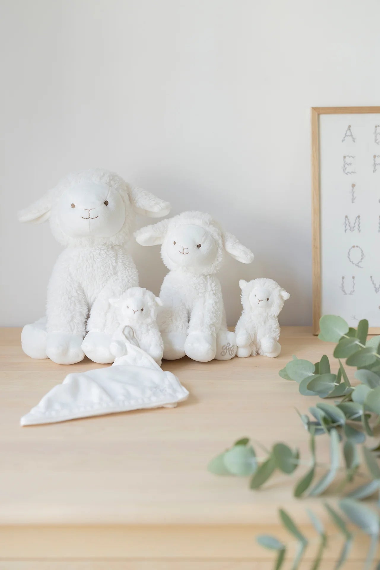 Edmond le mouton Doudou