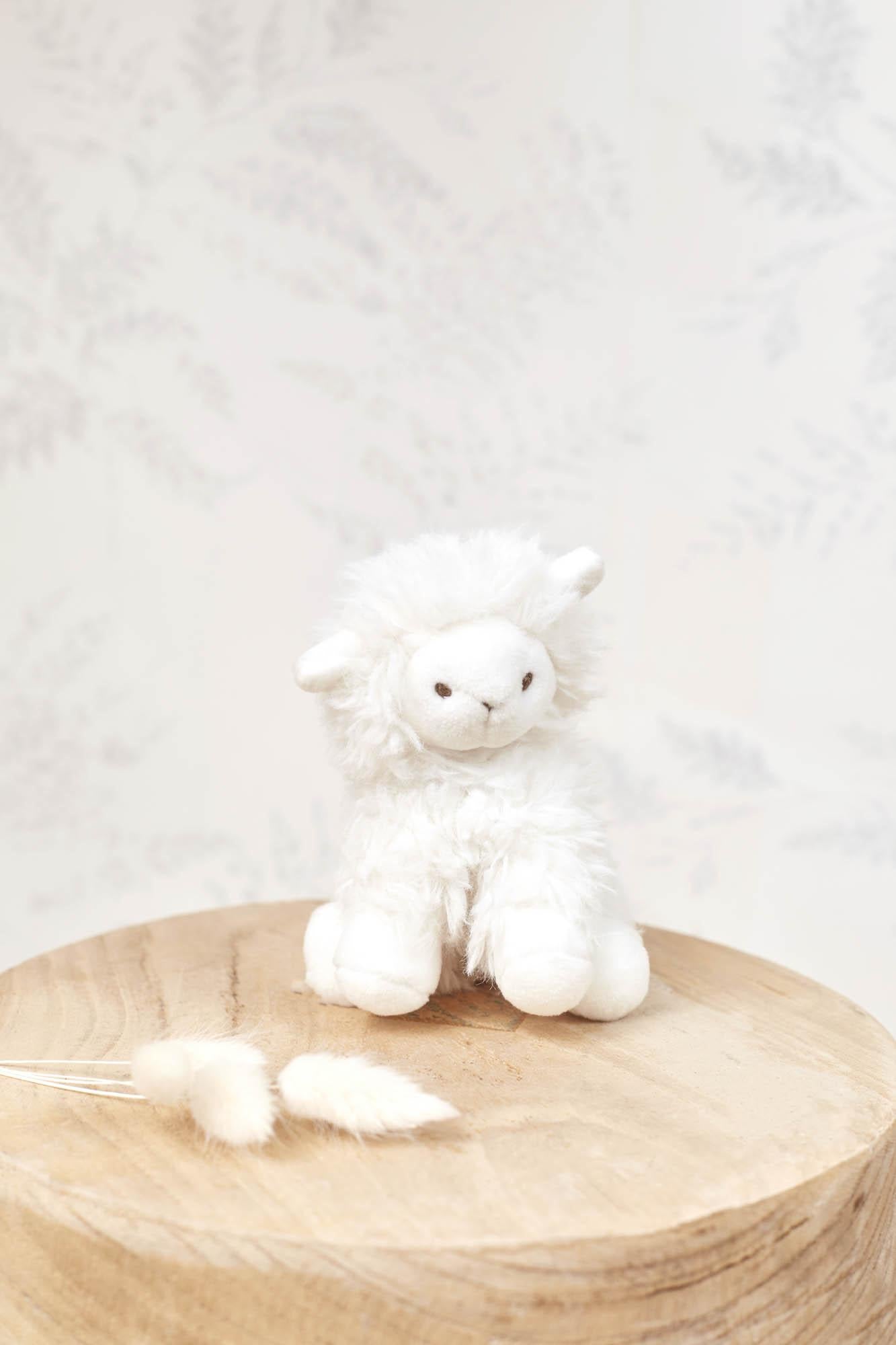 Edmond le mouton 12cm