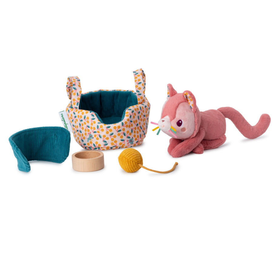 Jeanne kat en haar mandje