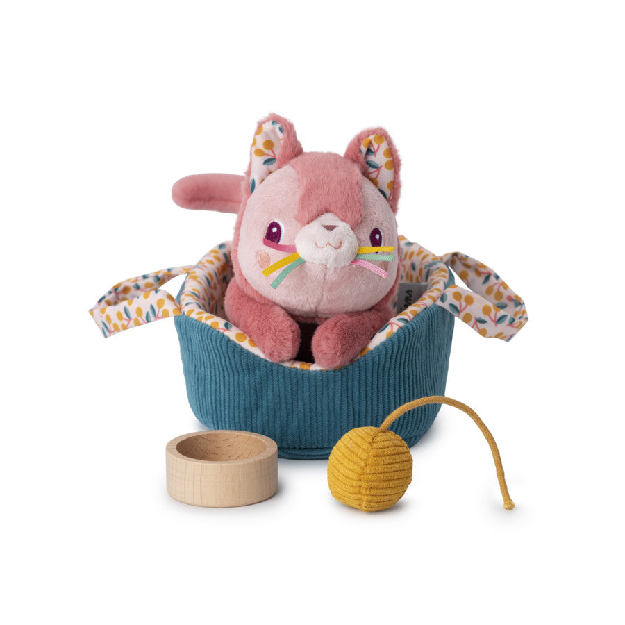 Jeanne kat en haar mandje
