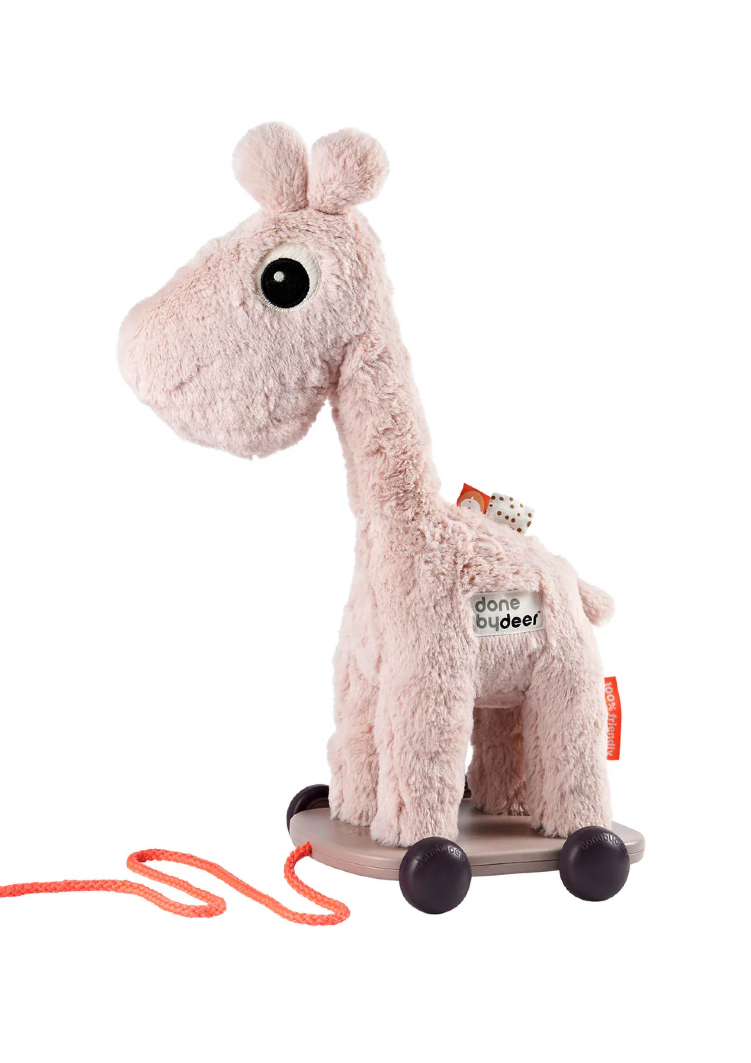 Raffie Pull along 2-in-1 toy