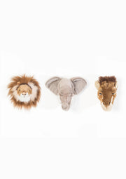 Safari box