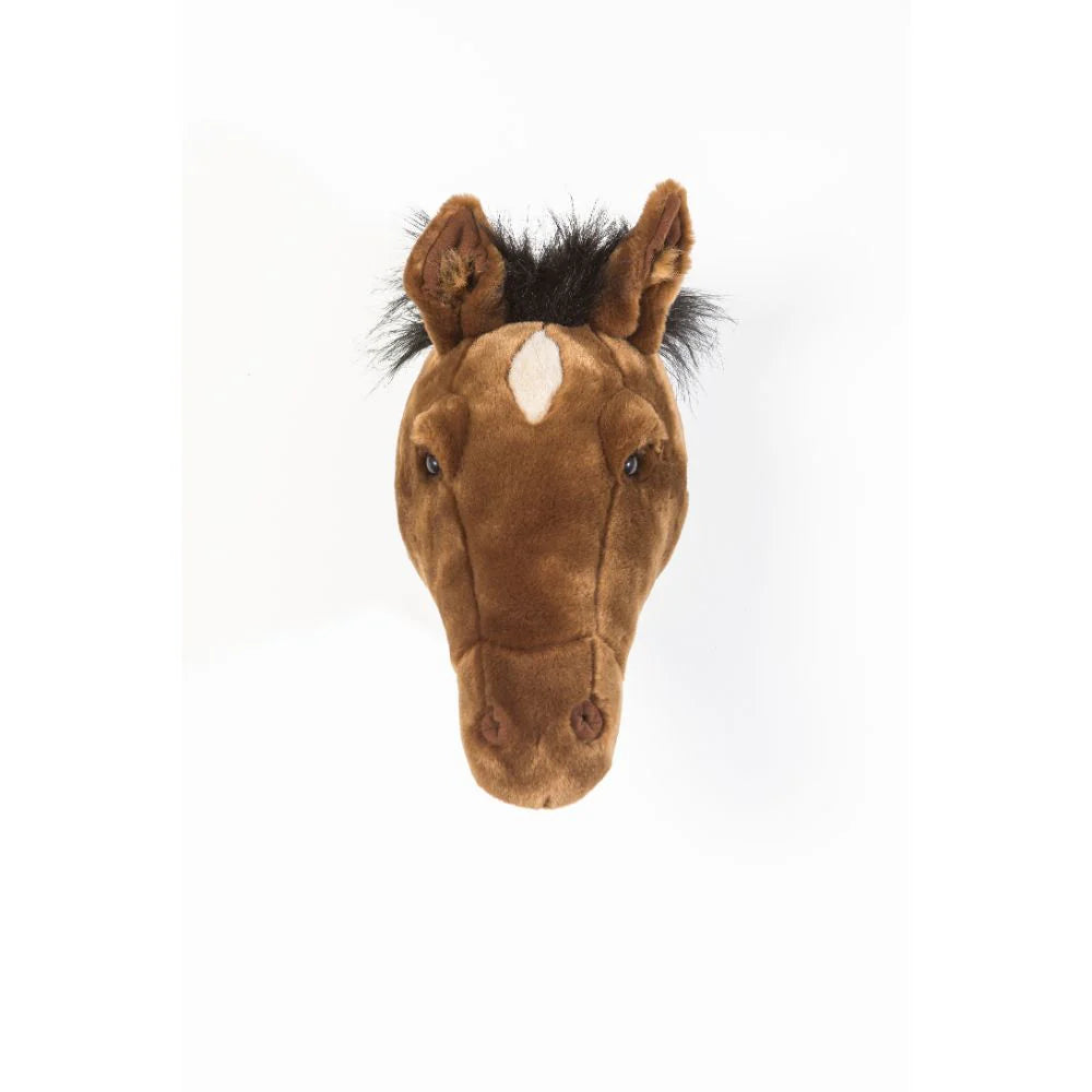 Scarlett het paard