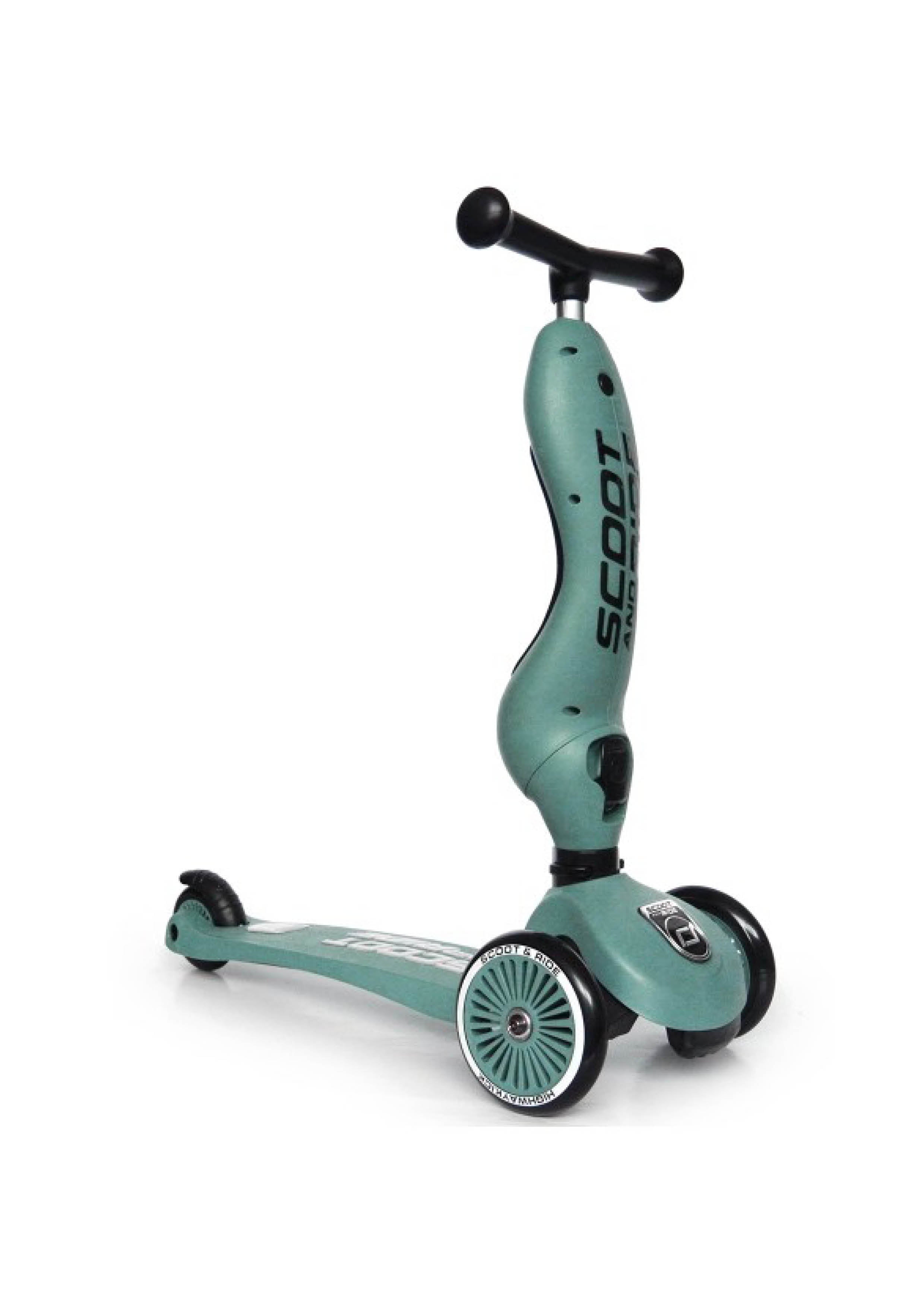 Scoot and Ride rose