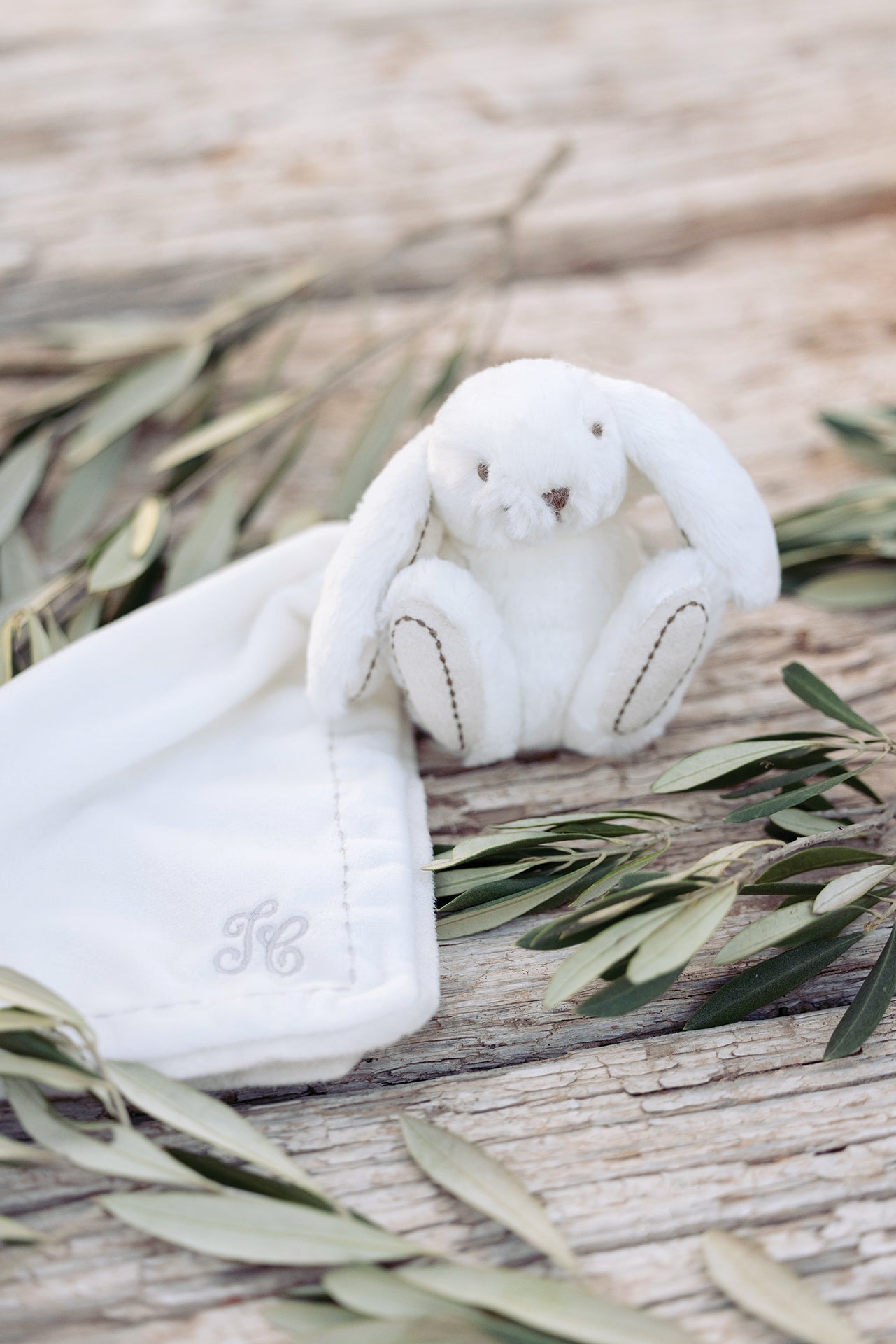 Augustin le lapin Doudou écru