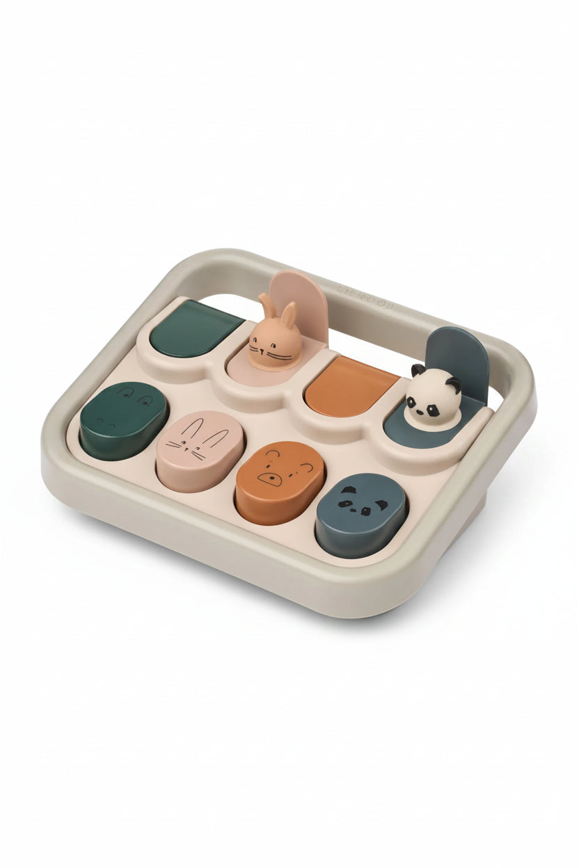 Aviva Pop-up Toy