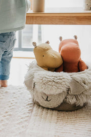 Pink nose Sheep basket
